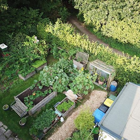 Ruhige Ferienwohnung „Suedhang“ Direkt Am Wald Bad Arolsen Luaran gambar