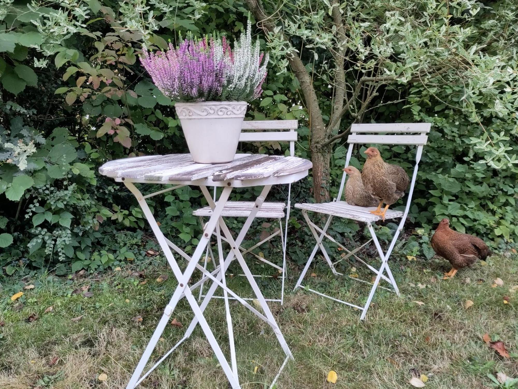 Ruhige Ferienwohnung „Suedhang“ Direkt Am Wald Bad Arolsen Luaran gambar